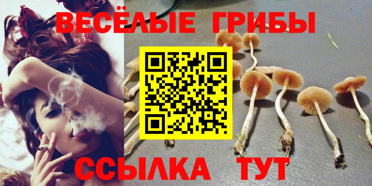 Канабис  A-PVP СОЛЬ кристаллы  Вход с VPN  COCAIN  Гашиш  Гусиноозёрск  Меф   Как найти закладки?  MDMA 