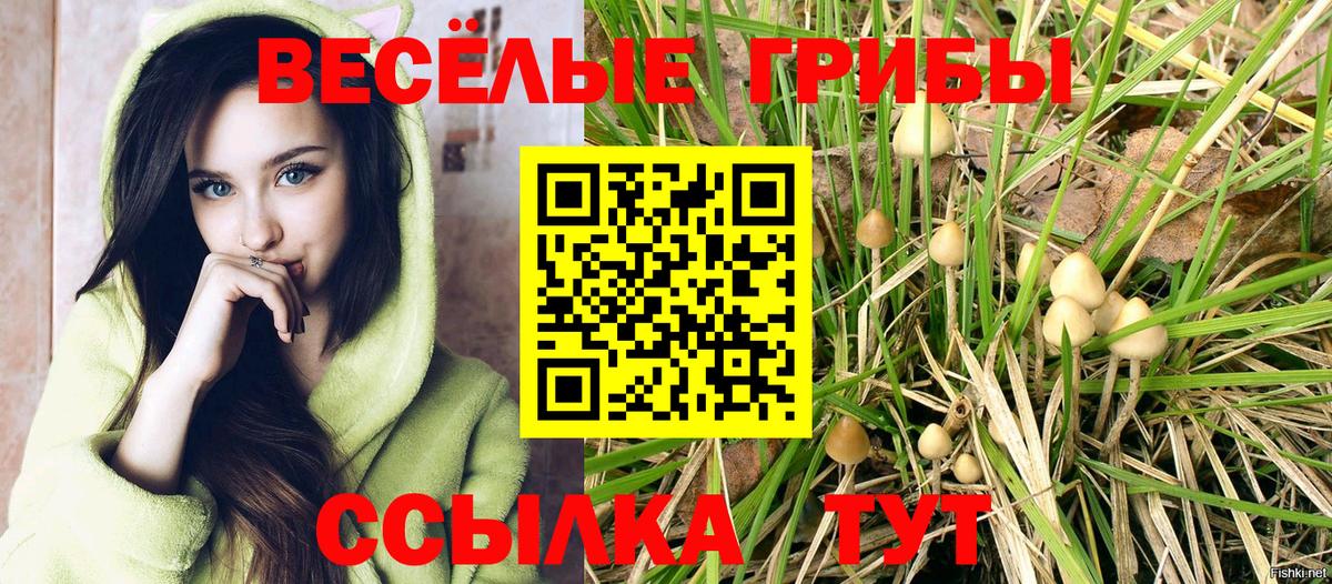 Псилоцибиновые грибы ЛСД  Вход с VPN  Гусиноозёрск  Псилоцибиновые грибы MAGIC MUSHROOMS 