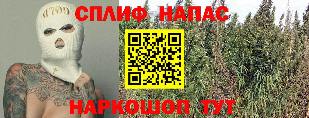 Конопля MAZAR  Шишки марихуана ГИДРОПОН  Гусиноозёрск  Вход с VPN  Канабис SATIVA & INDICA 